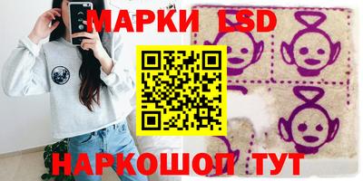 шишки Будённовск