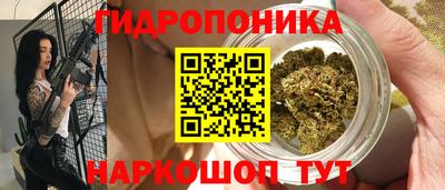 шишки Будённовск
