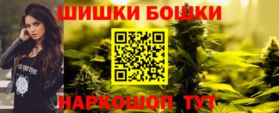 шишки Будённовск