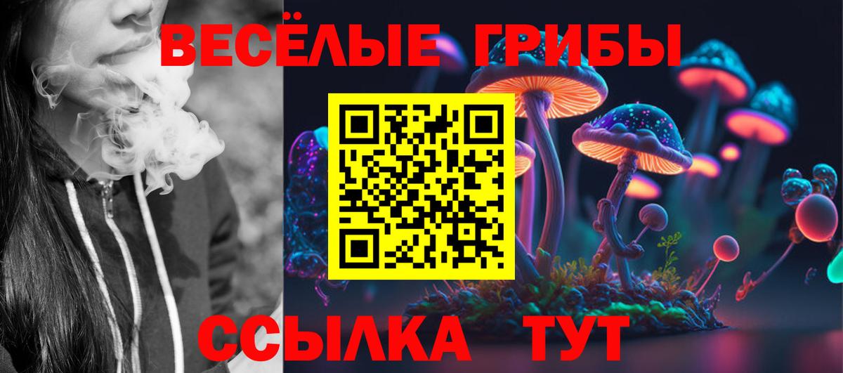 хочу наркоту  Вход с VPN  Саров  Псилоцибиновые грибы MAGIC MUSHROOMS 